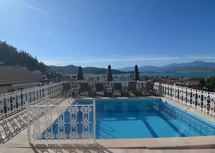 View D1 * فتحية